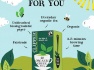 matovy-caj-clipper-250-cajovych-sacku