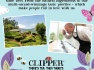 cerny-caj-clipper-earl-grey-250-sacku