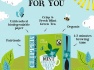 clipper-green-tea-sachets-qty-250-sachets